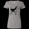 Ladies' Triblend Short Sleeve T-Shirt Thumbnail