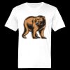 Ringspun Cotton Soft Style T-Shirt Thumbnail