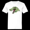 Ringspun Cotton Soft Style T-Shirt Thumbnail