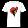 Ringspun Cotton Soft Style T-Shirt Thumbnail