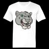 Ringspun Cotton Soft Style T-Shirt Thumbnail