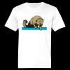 Ringspun Cotton Soft Style T-Shirt Thumbnail