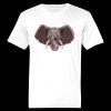 Ringspun Cotton Soft Style T-Shirt Thumbnail
