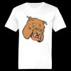 Ringspun Cotton Soft Style T-Shirt Thumbnail