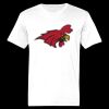 Ringspun Cotton Soft Style T-Shirt Thumbnail