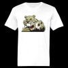 Ringspun Cotton Soft Style T-Shirt Thumbnail