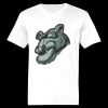 Ringspun Cotton Soft Style T-Shirt Thumbnail