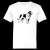Ringspun Cotton Soft Style T-Shirt Thumbnail