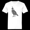 Ringspun Cotton Soft Style T-Shirt Thumbnail