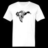 Ringspun Cotton Soft Style T-Shirt Thumbnail
