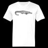 Ringspun Cotton Soft Style T-Shirt Thumbnail