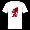 Ringspun Cotton Soft Style T-Shirt Thumbnail