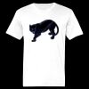 Ringspun Cotton Soft Style T-Shirt Thumbnail