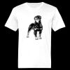 Ringspun Cotton Soft Style T-Shirt Thumbnail