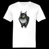 Ringspun Cotton Soft Style T-Shirt Thumbnail