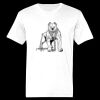 Ringspun Cotton Soft Style T-Shirt Thumbnail