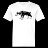 Ringspun Cotton Soft Style T-Shirt Thumbnail
