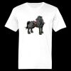 Ringspun Cotton Soft Style T-Shirt Thumbnail