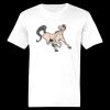 Ringspun Cotton Soft Style T-Shirt Thumbnail