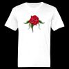 Ringspun Cotton Soft Style T-Shirt Thumbnail