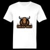 Ringspun Cotton Soft Style T-Shirt Thumbnail