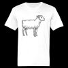 Ringspun Cotton Soft Style T-Shirt Thumbnail