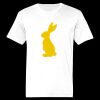 Ringspun Cotton Soft Style T-Shirt Thumbnail