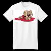 XXL Hanes Tagless T Thumbnail
