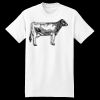 XXL Hanes Tagless T Thumbnail