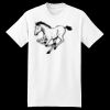 XXL Hanes Tagless T Thumbnail