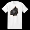 XXL Hanes Tagless T Thumbnail