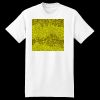 XXL Hanes Tagless T Thumbnail
